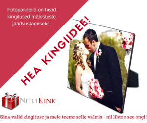 Kingitused internetist - NetiKink